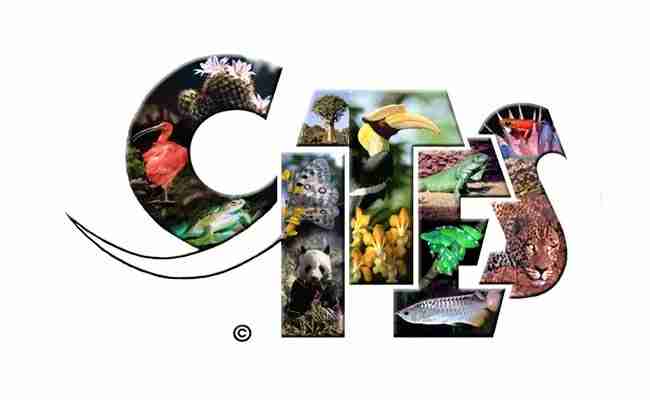 CITES