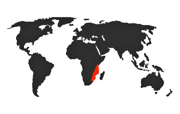 Poicephalus cryptoxanthus - mapa vyskytu