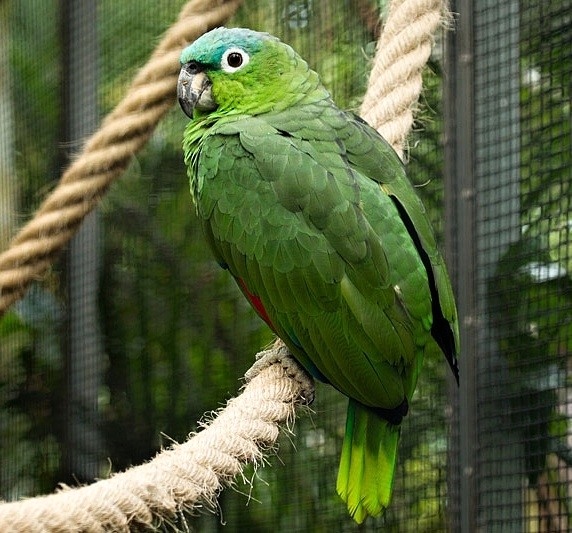 Foto 3
