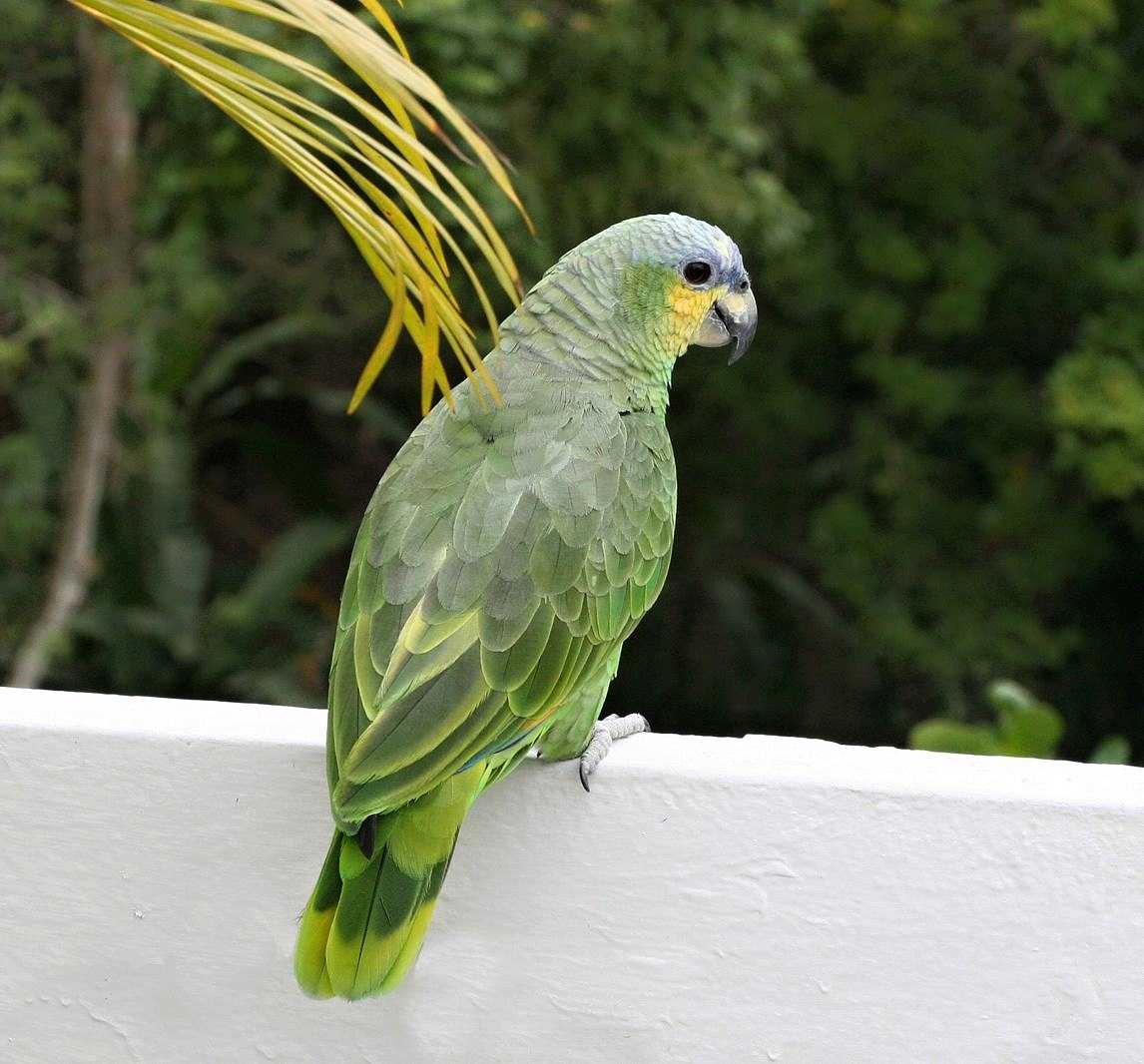 Foto 4