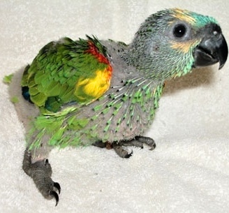 Foto 6