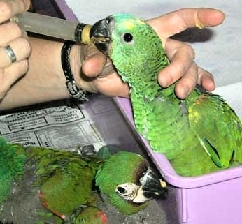 Foto 6