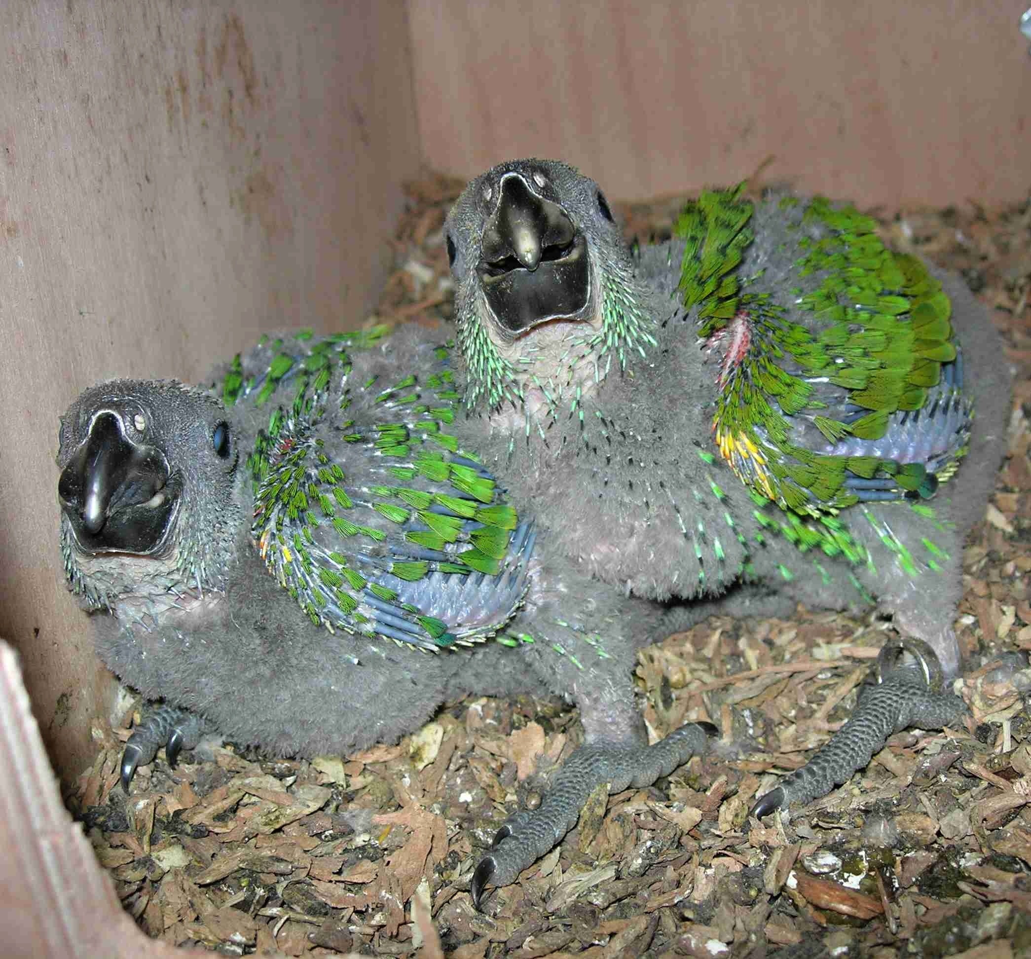 Foto 5