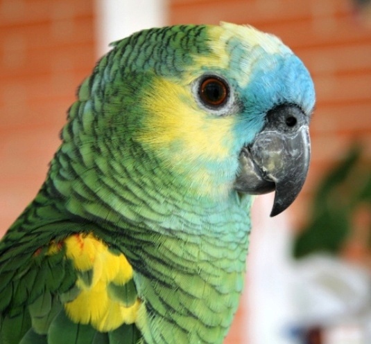 Foto 7