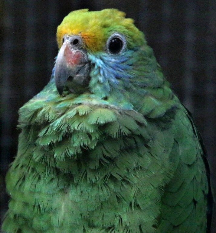 Foto 6