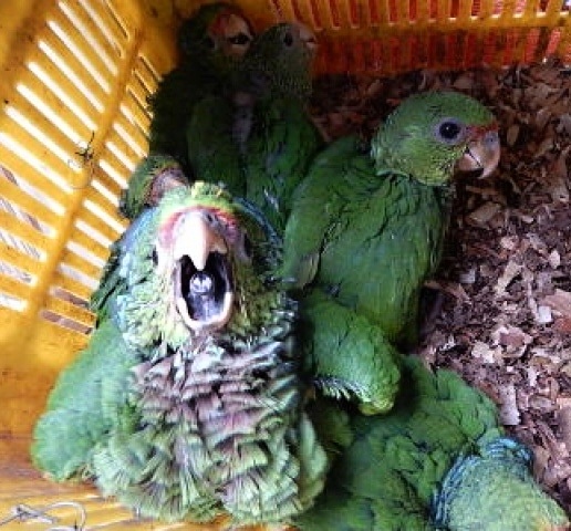 Foto 1