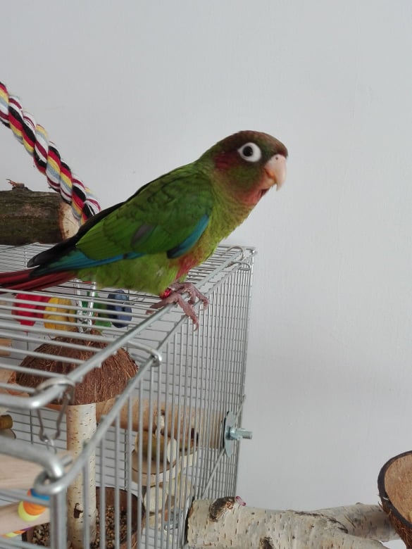 Foto 4