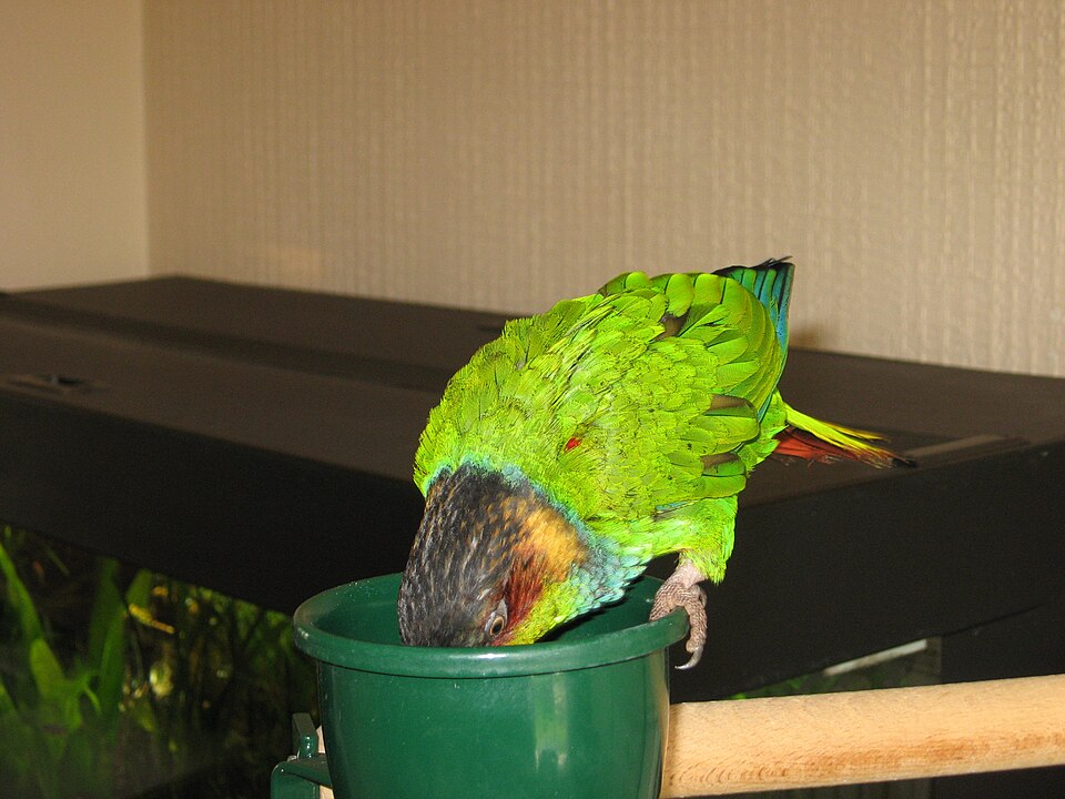 Foto 3