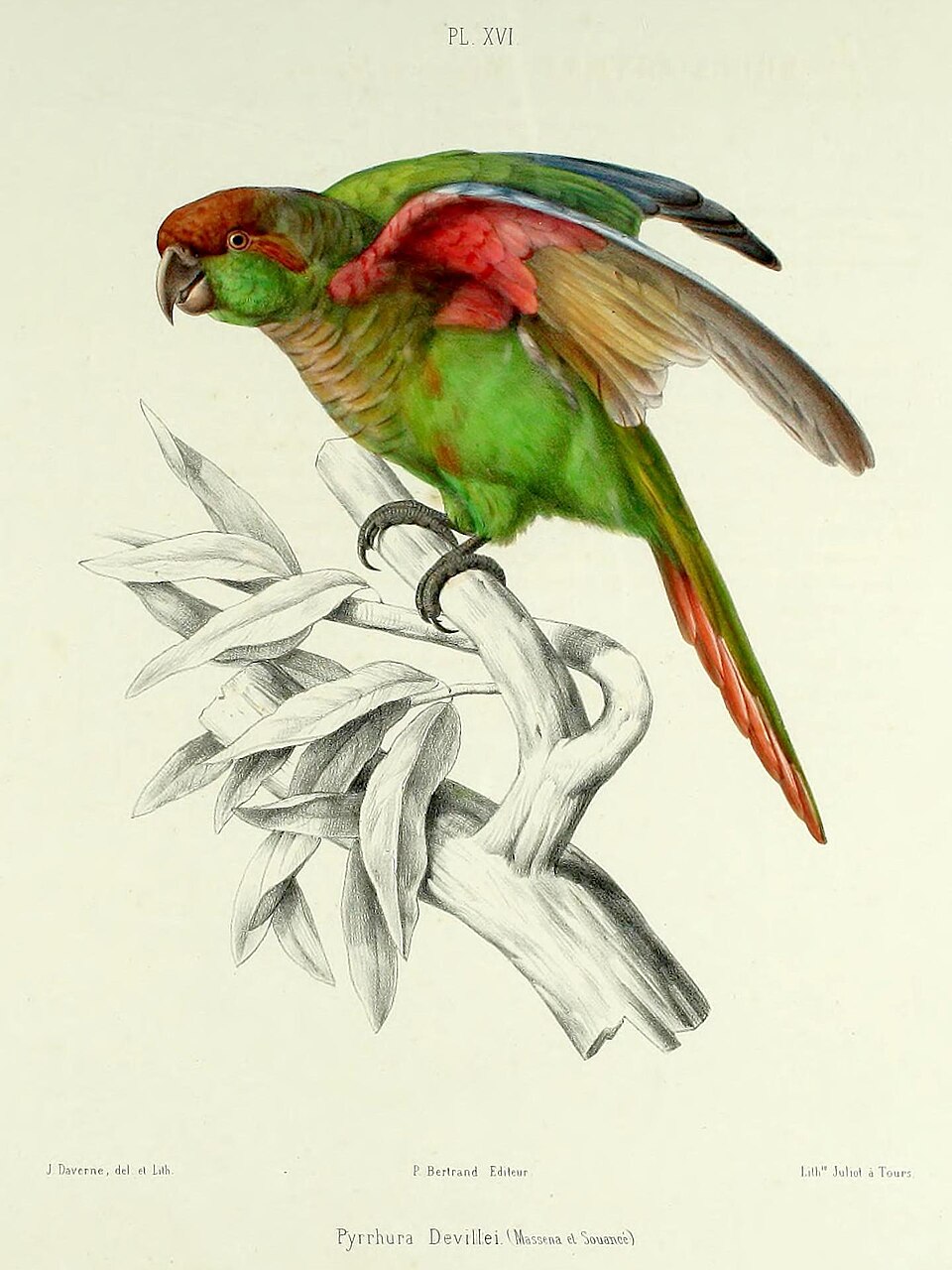 Foto 2