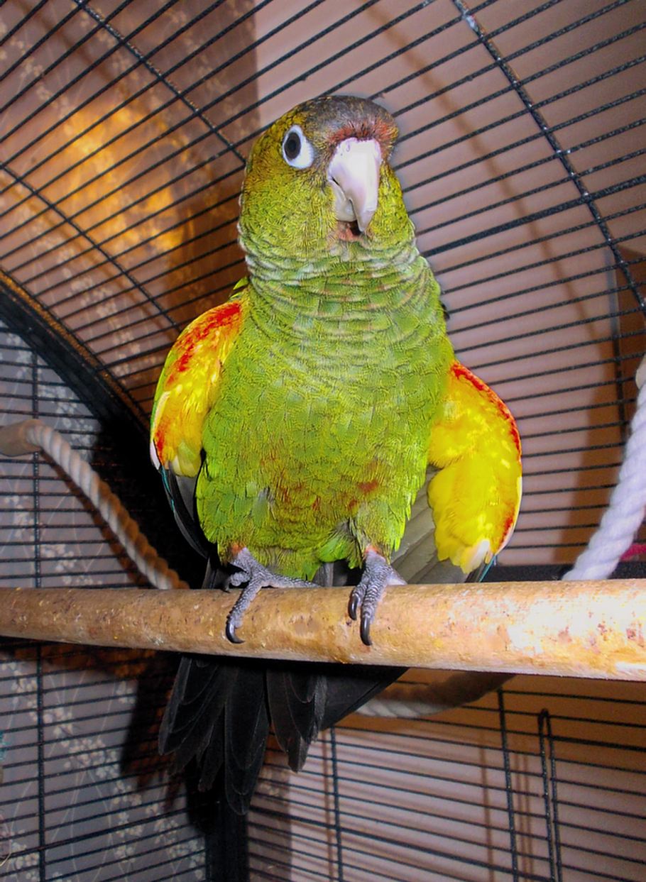 Foto 3