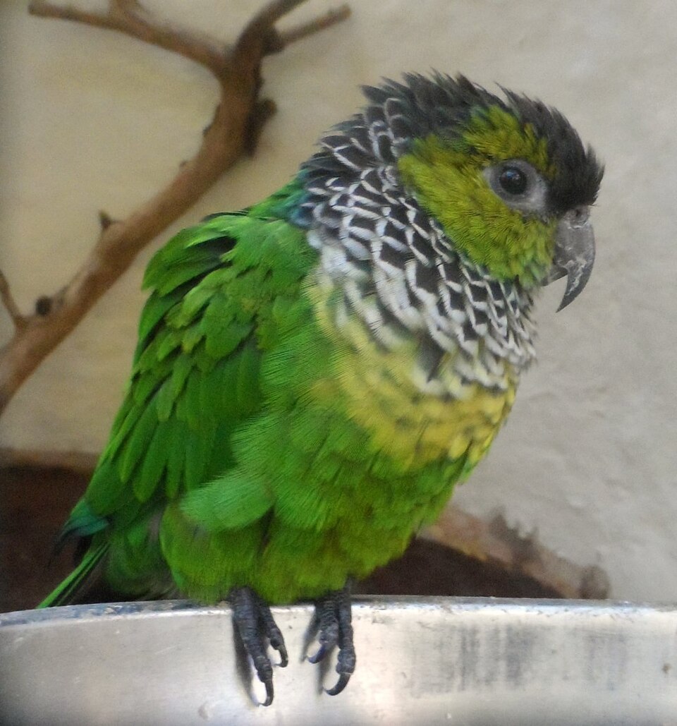 Foto 4