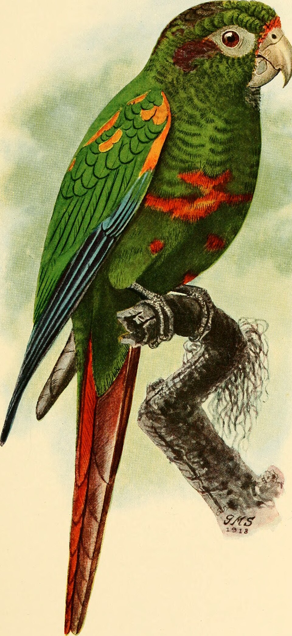 Foto 1