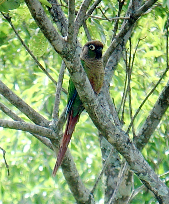 Foto 5