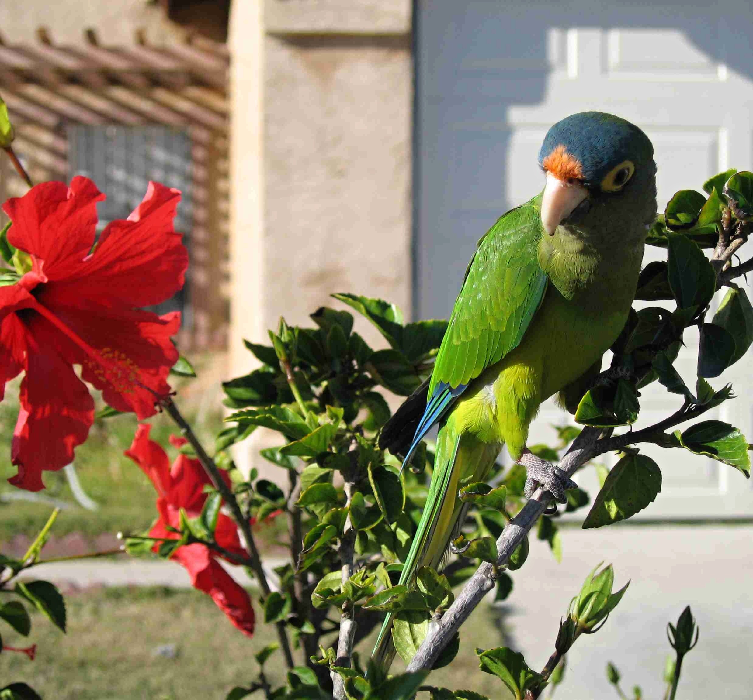 Foto 5