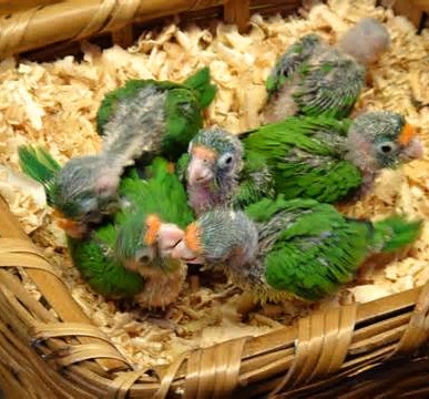 Foto 6