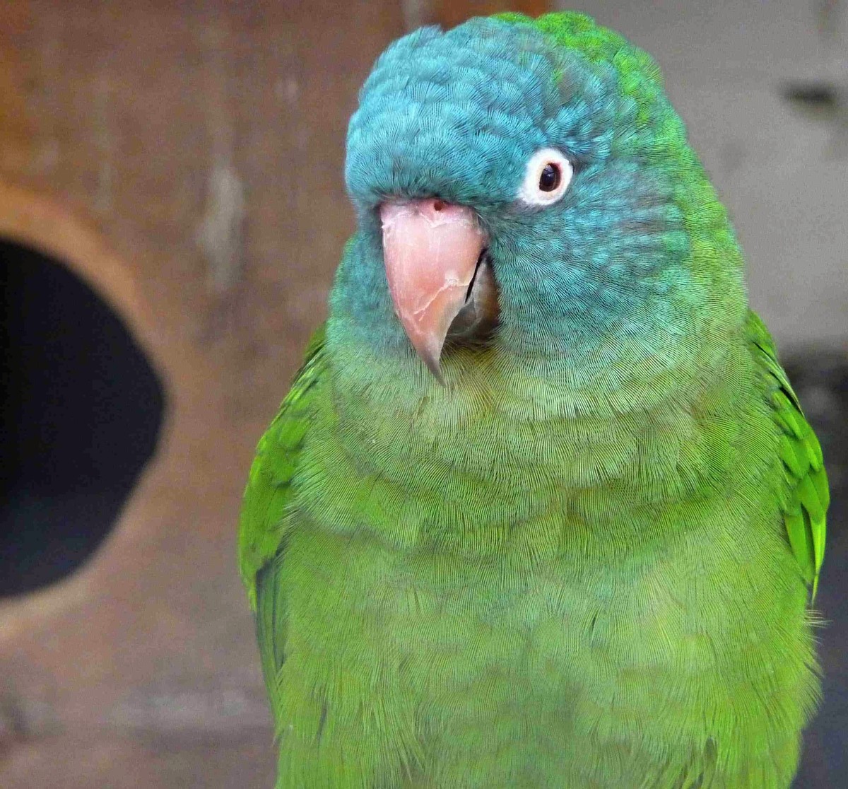 Foto 4