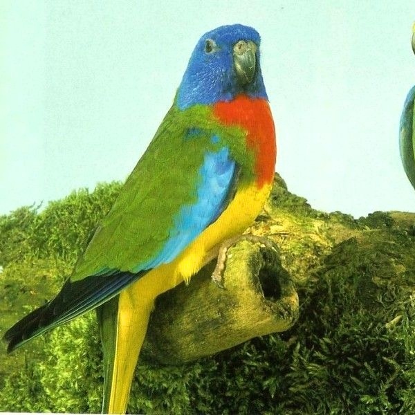 Foto 8