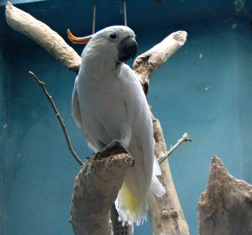 Foto 8