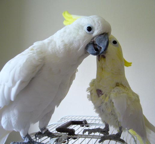 Foto 11