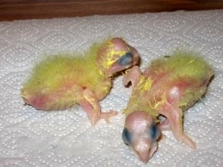 Foto 14