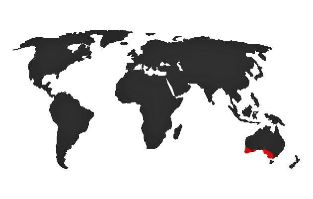 Mapa výskytu - Lori zlatočelý (Glossopsitta porphyrocephala)