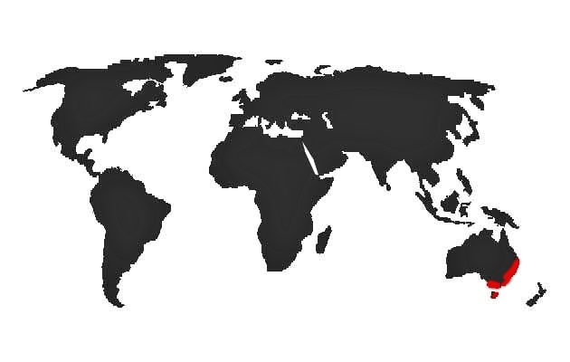 Mapa výskytu - Lori pižmový (Glossopsitta concinna)