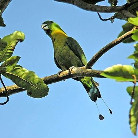 Foto 6