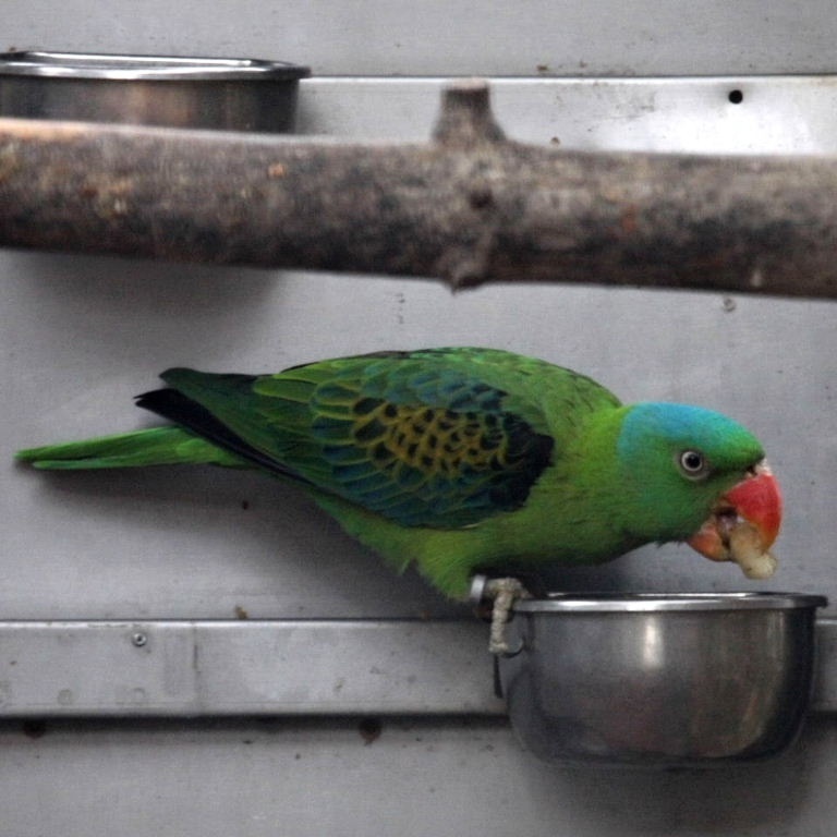Foto 4