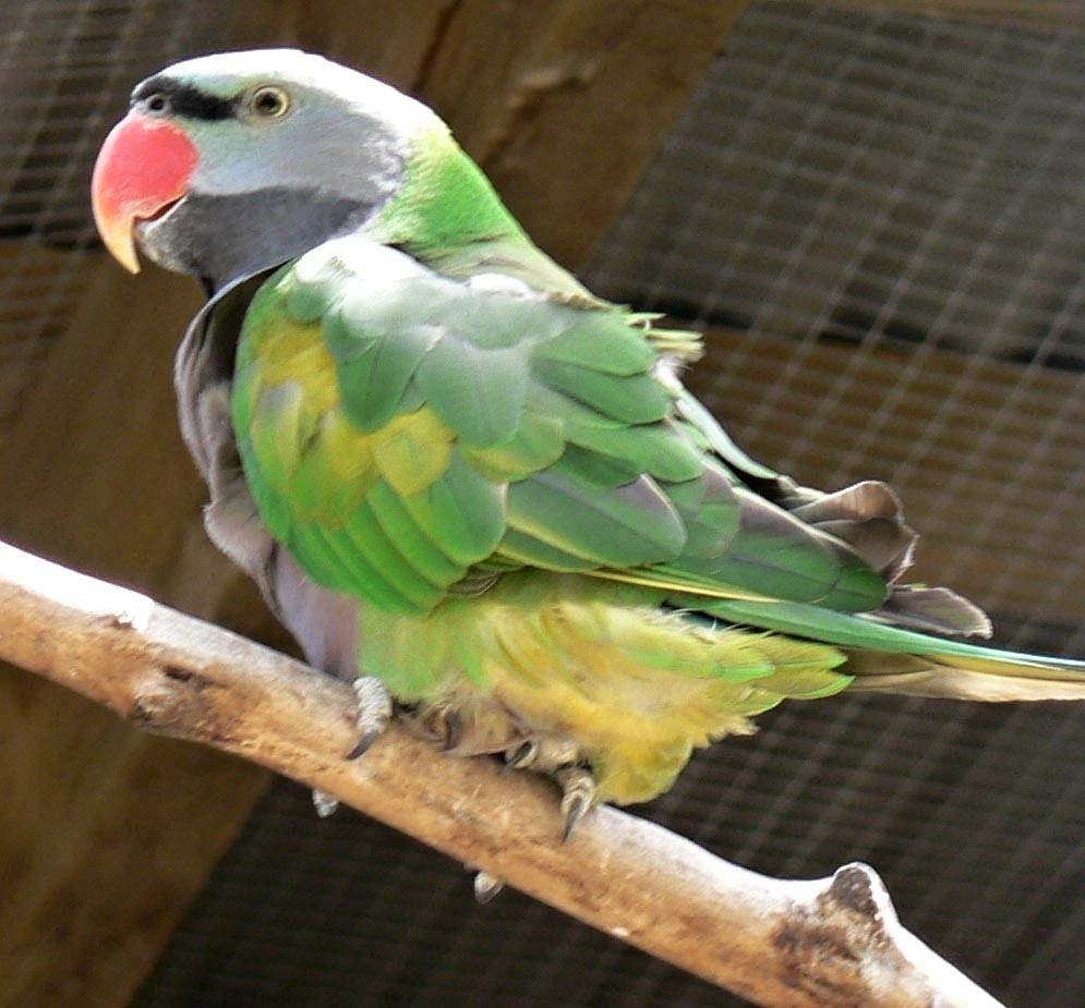 Foto 6