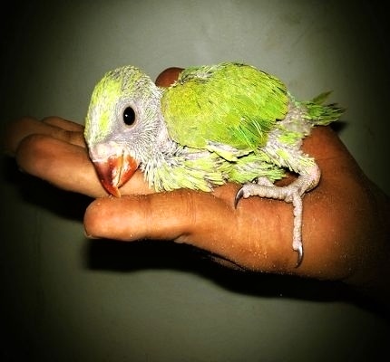 Foto 6