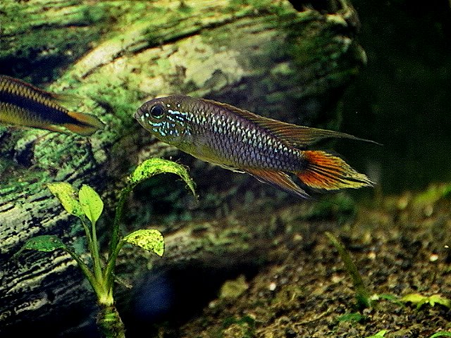 Foto 2