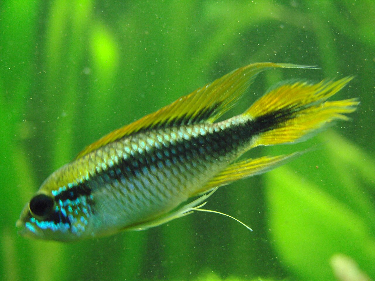 Foto 4