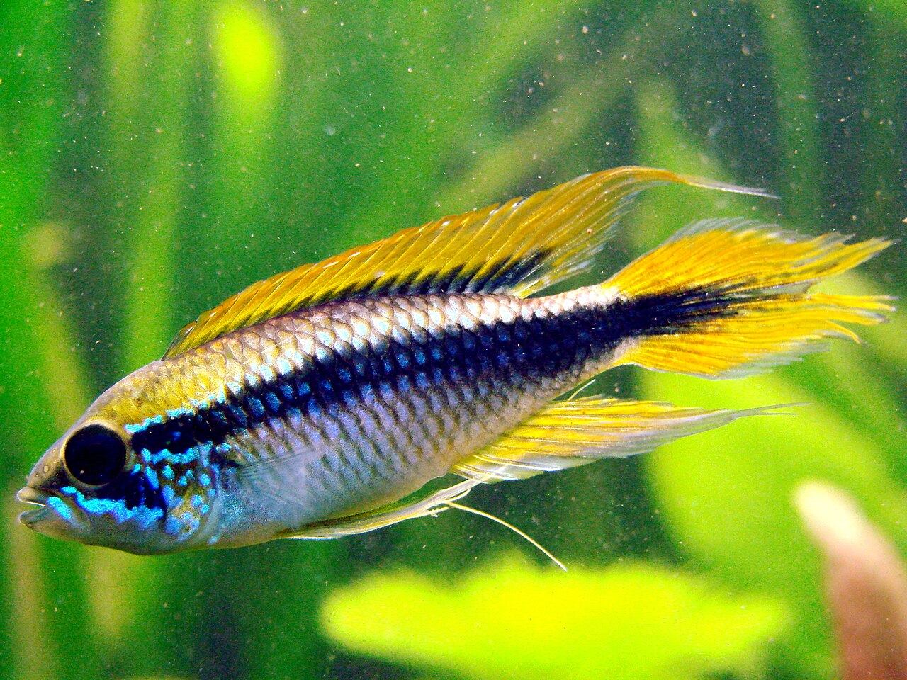 Foto 5