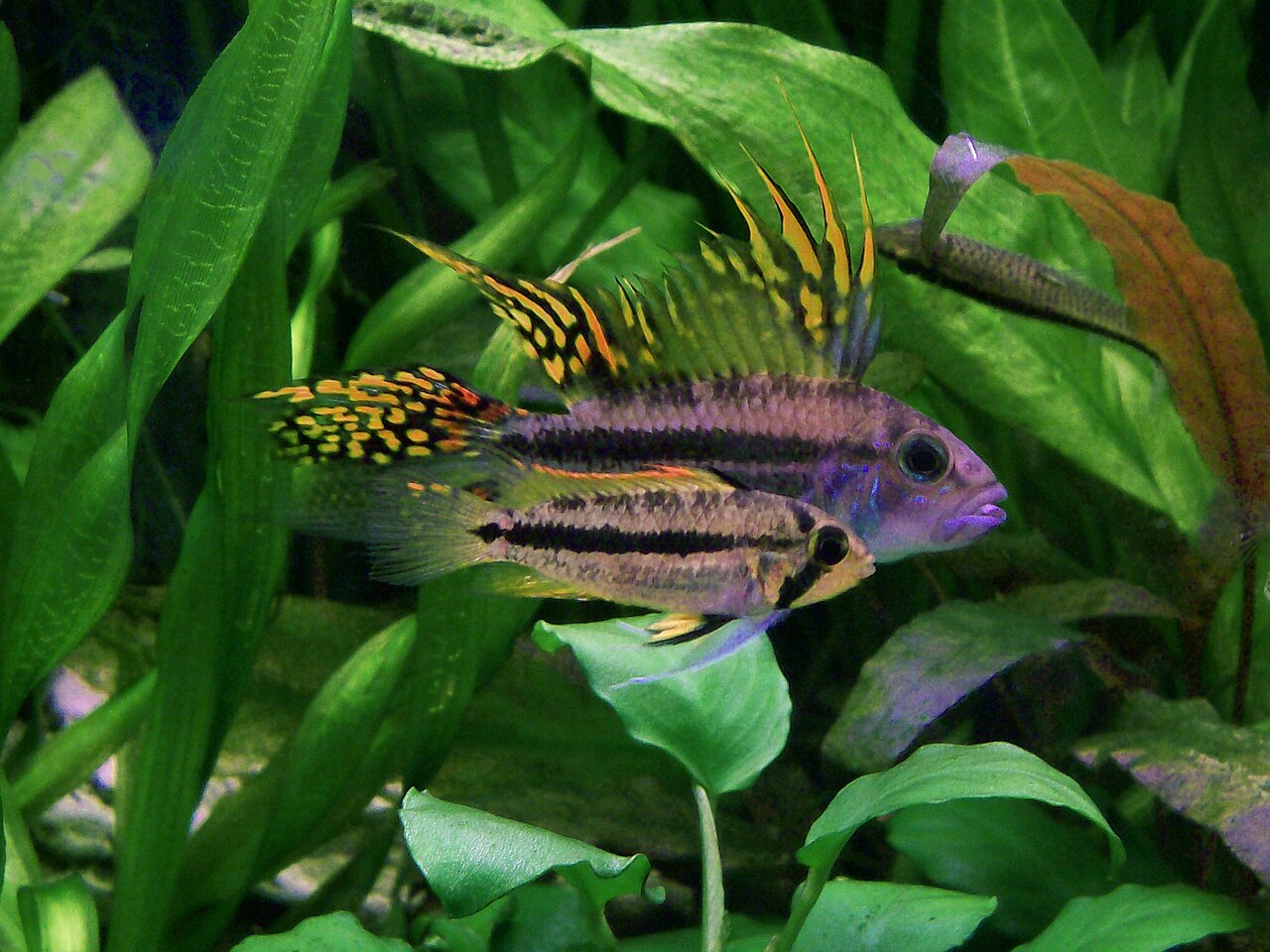 Foto 2
