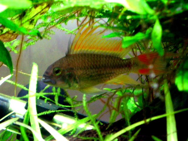 Foto 5