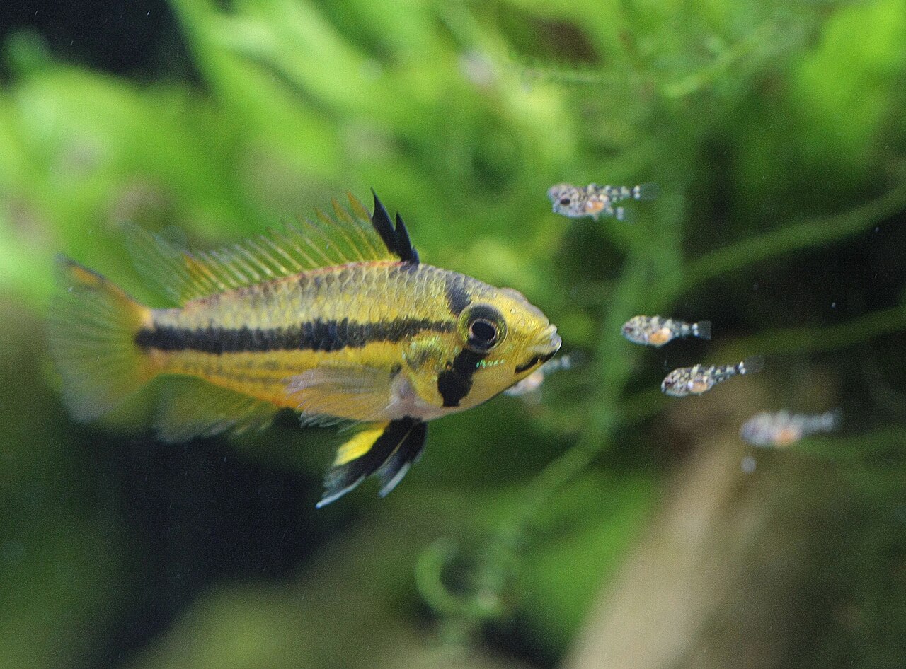 Foto 6