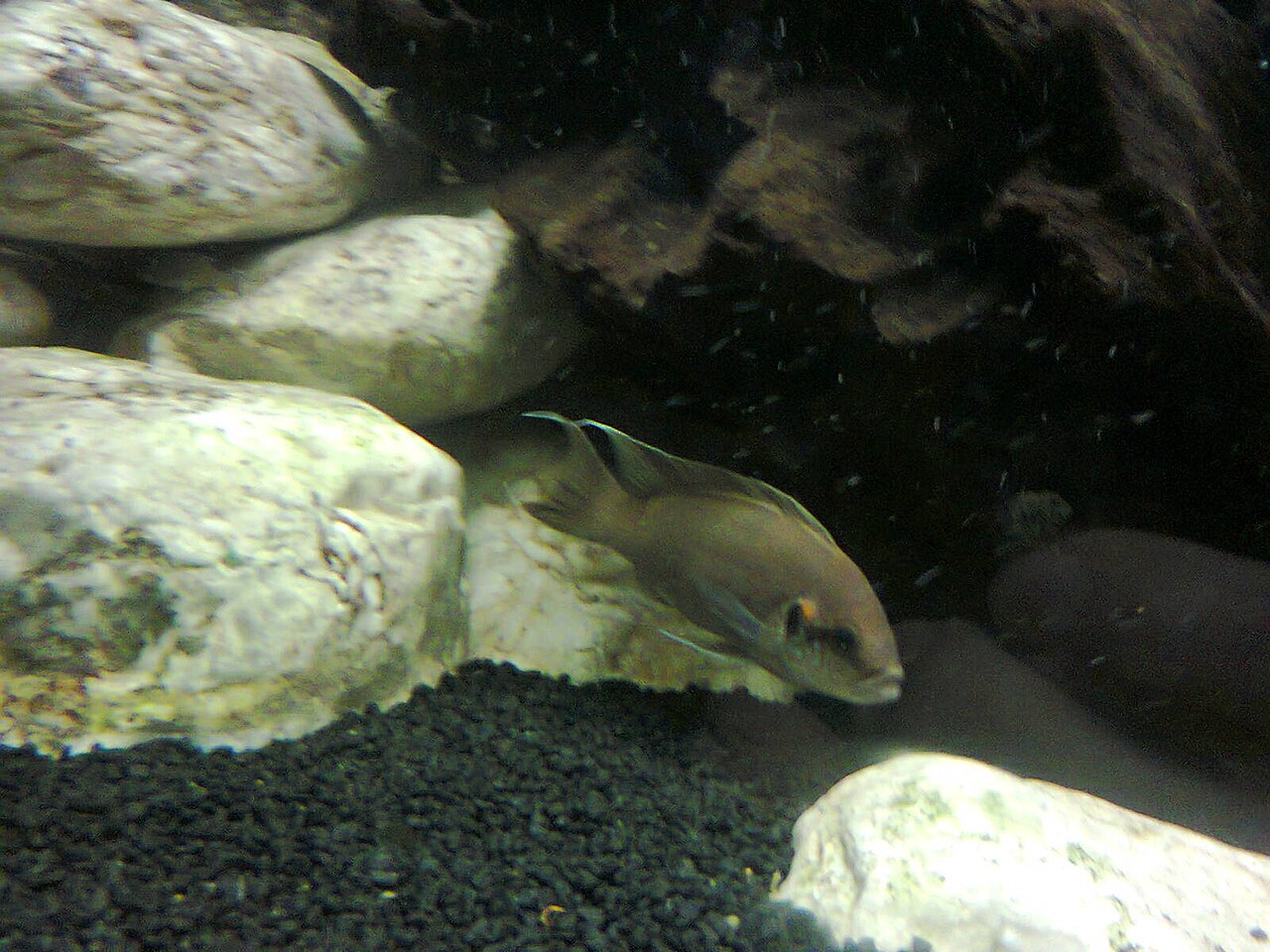 Foto 3
