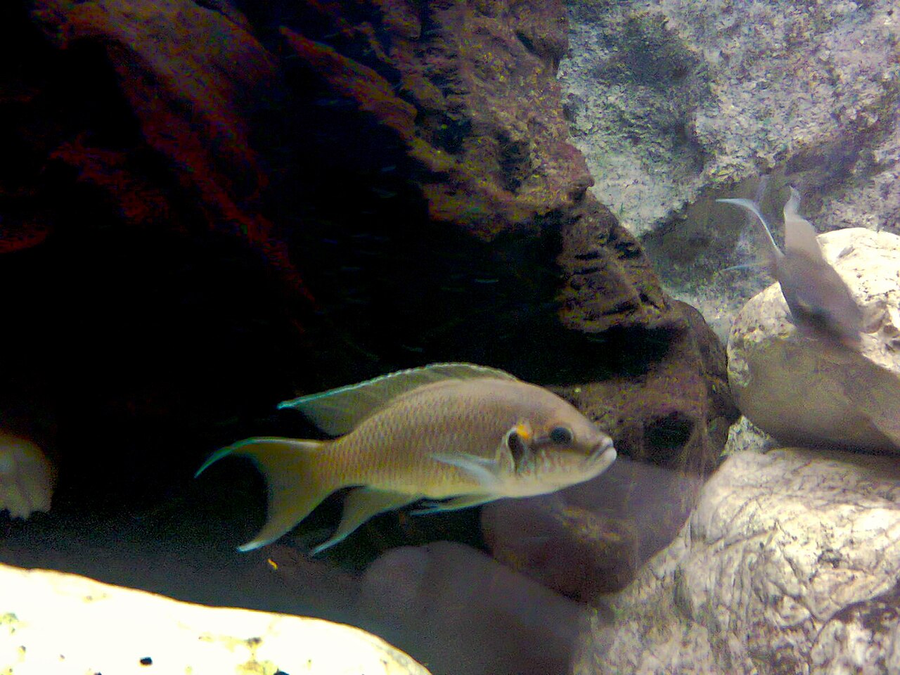 Foto 4