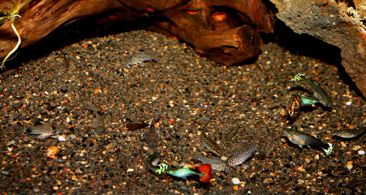 Foto 3