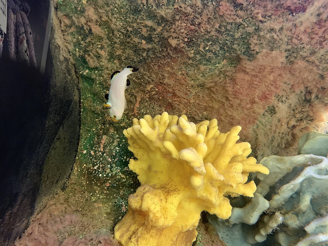 Foto 3