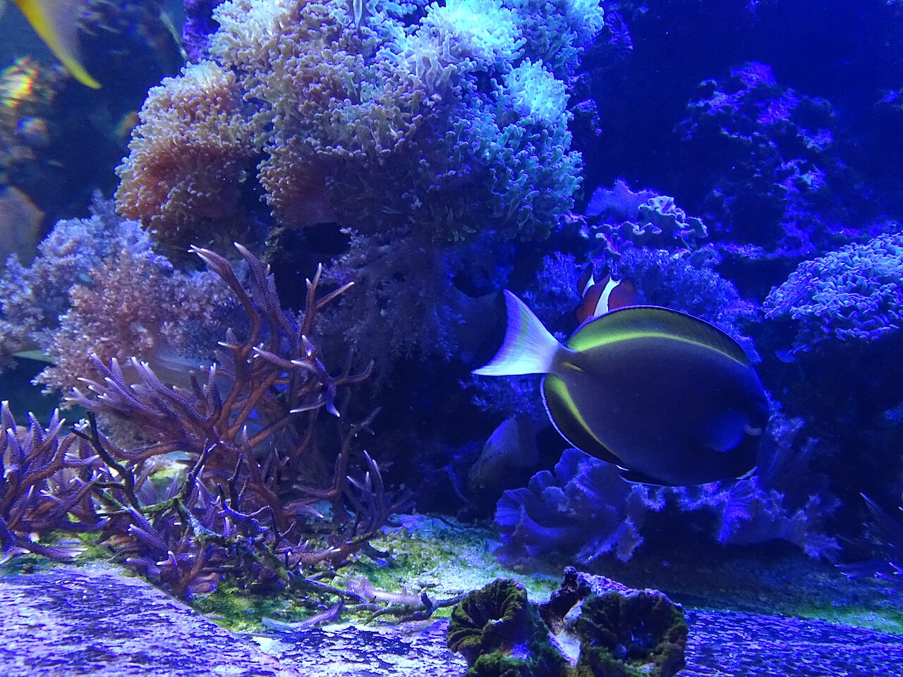 Foto 2