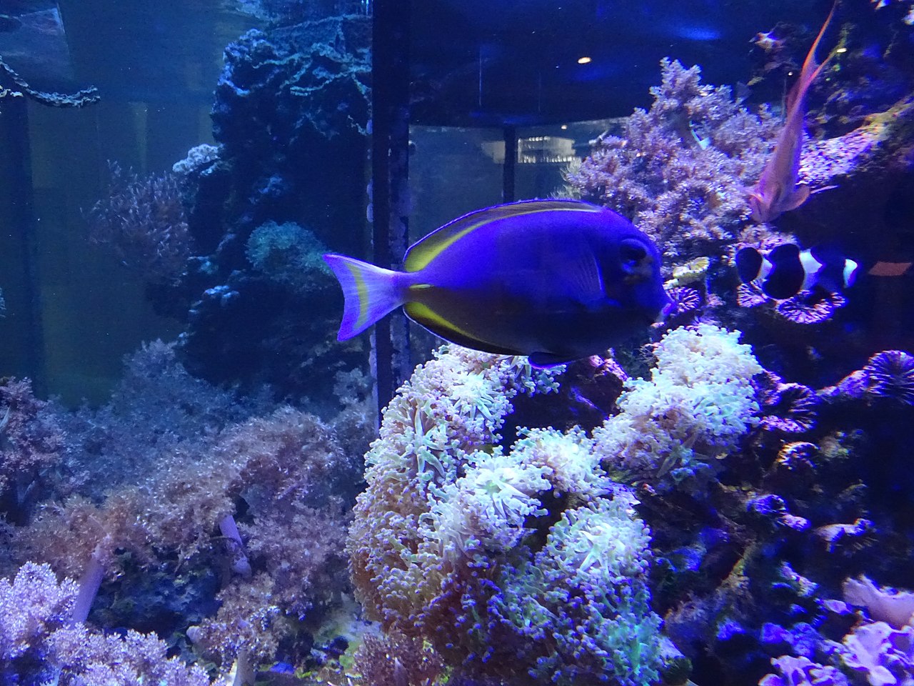 Foto 3