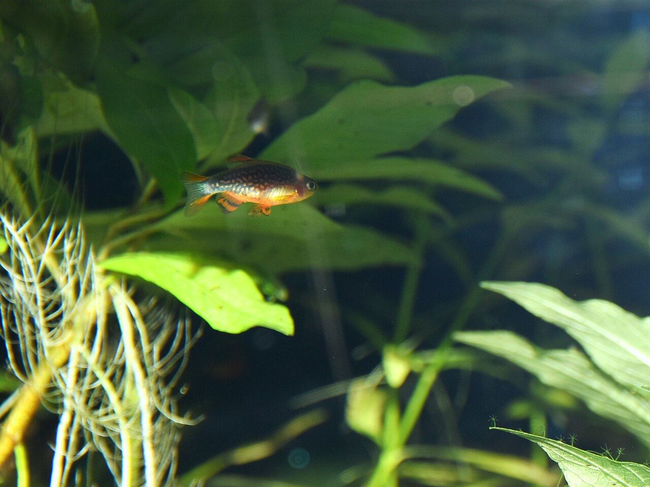 Foto 3