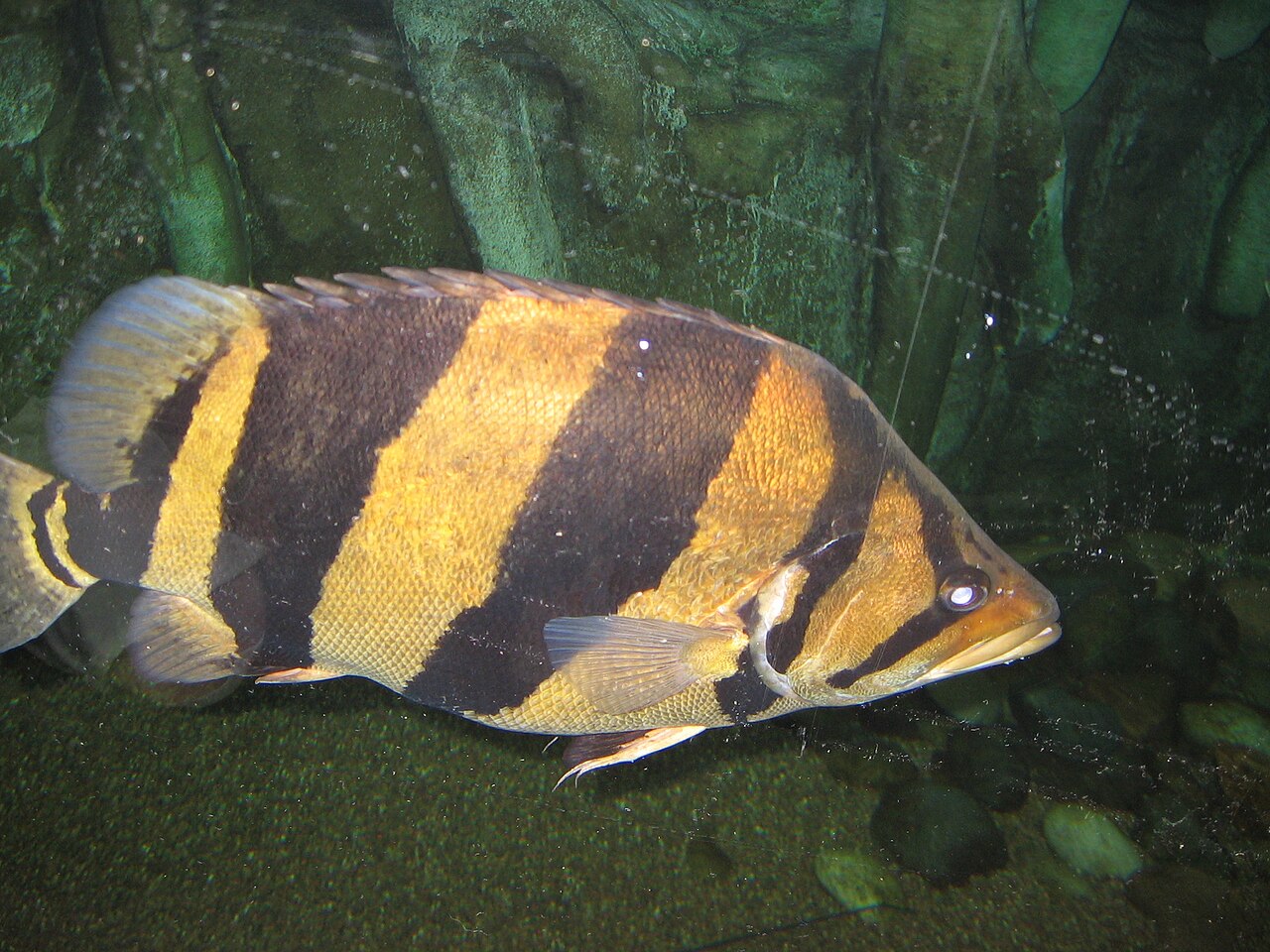 Foto 6