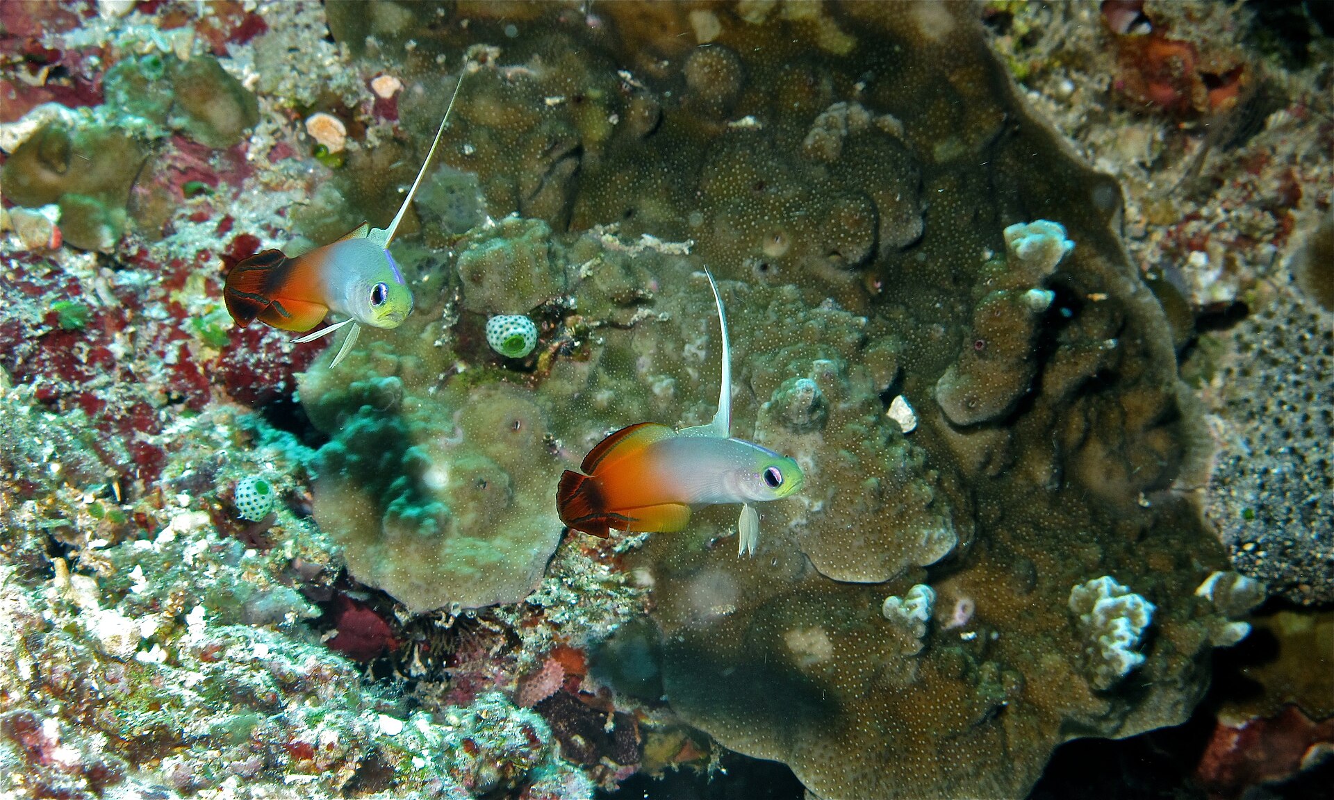 Foto 3