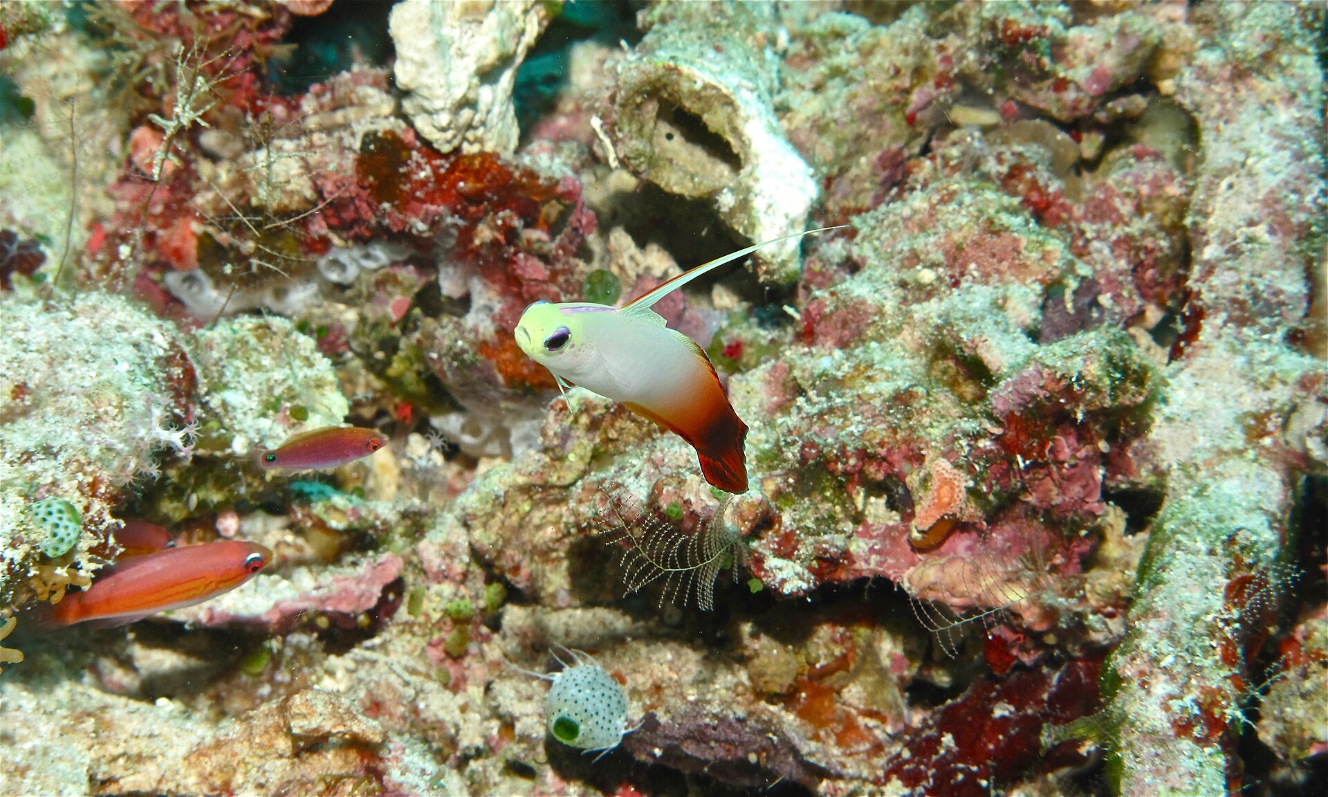 Foto 6