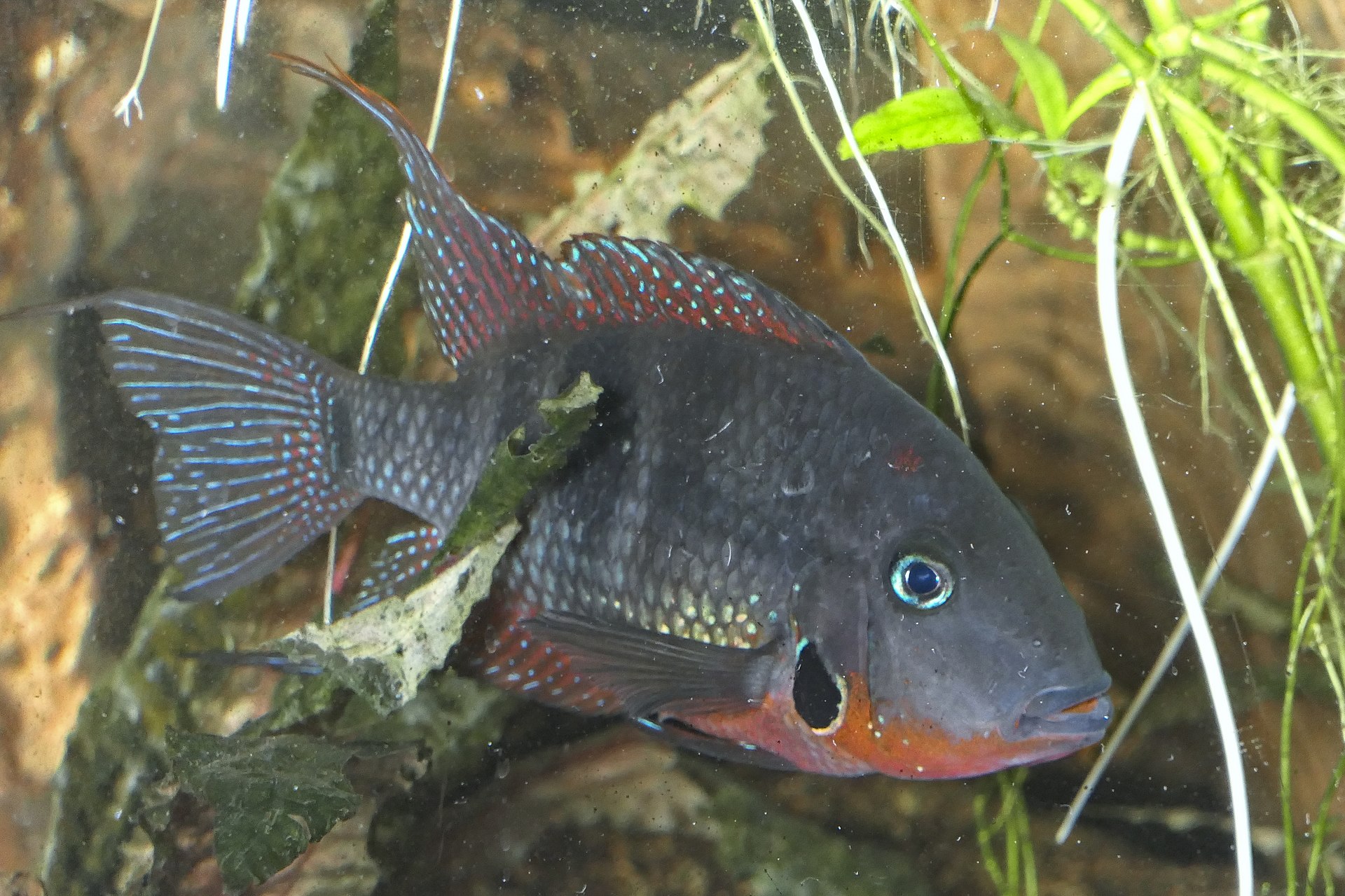 Foto 5