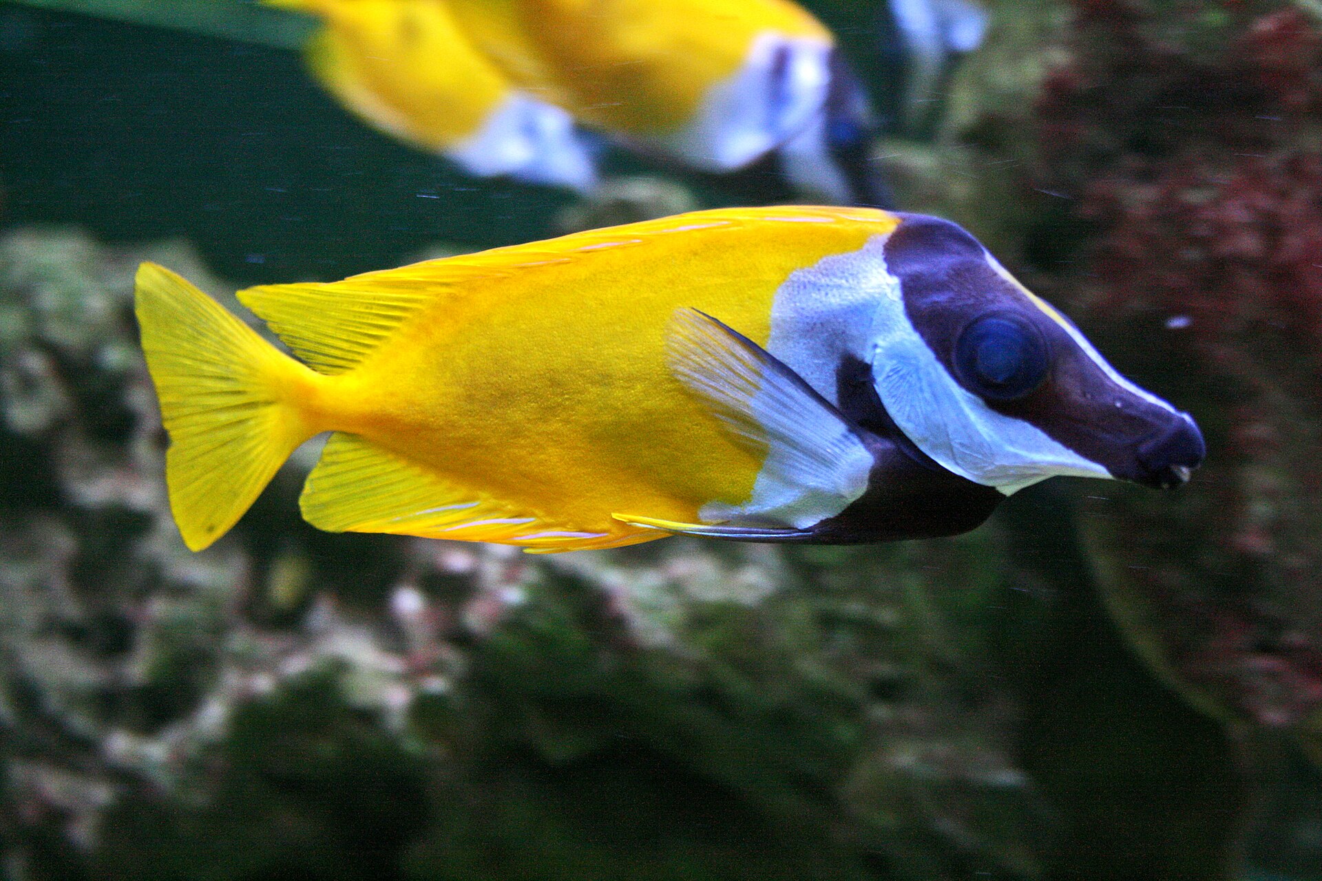 Foto 6