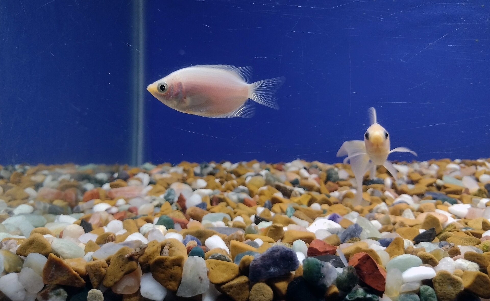 Foto 6