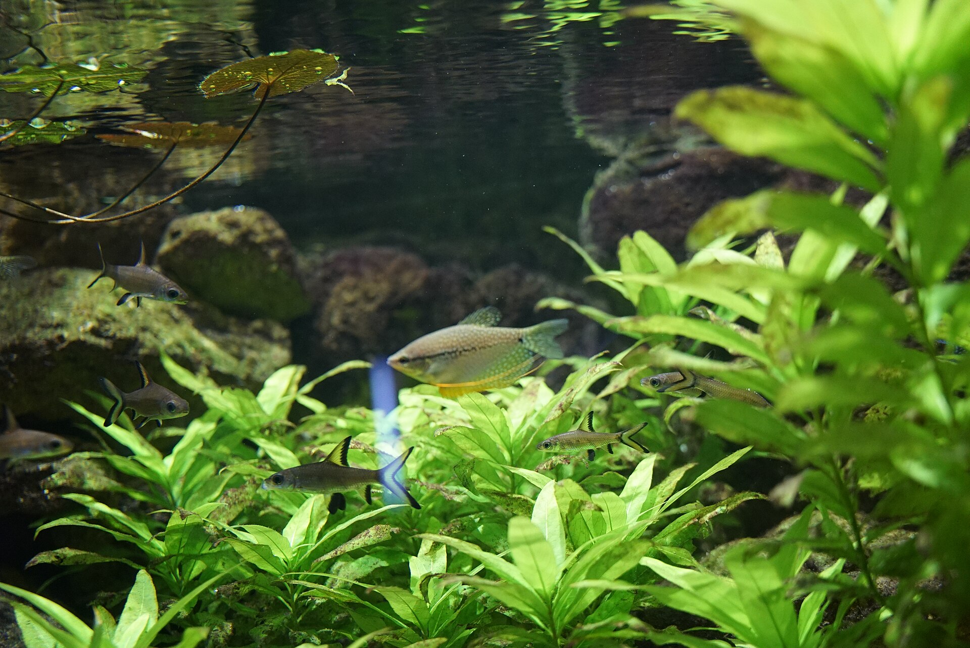 Foto 3